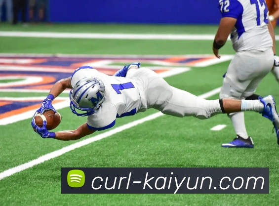 开云appAPP 封面图